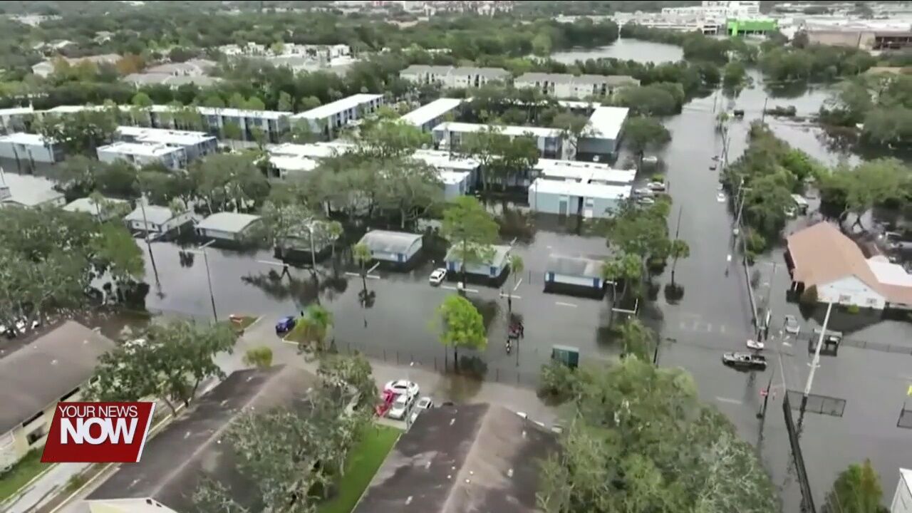 Do your homework on charities to avoid hurricane scams advises BBB